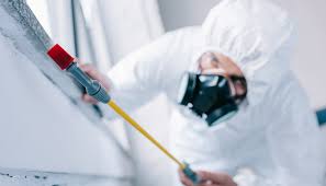 Best Real Estate Pest Inspections  in Middletown, CT